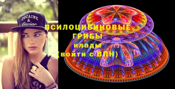 спиды Гатчина