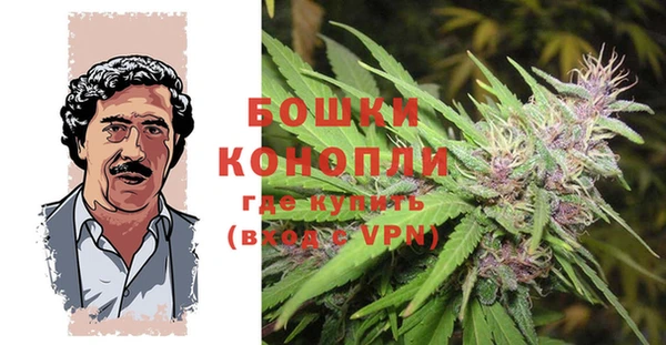 Альфа ПВП Абаза