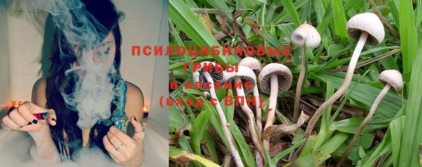 Альфа ПВП Абаза