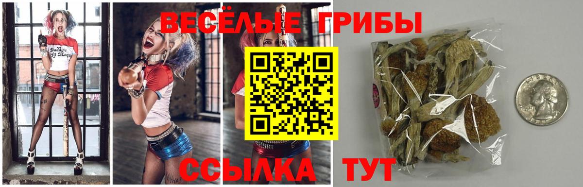 Псилоцибиновые грибы мухоморы  Вход с VPN  Югорск  Псилоцибиновые грибы MAGIC MUSHROOMS 
