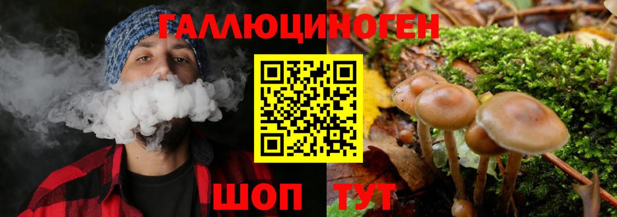 Галлюциногенные грибы MAGIC MUSHROOMS Югорск